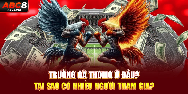 Trường gà Thomo ở đâu?