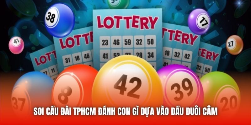 Soi cầu đài TPHCM đánh con gì dựa vào đầu đuôi câm