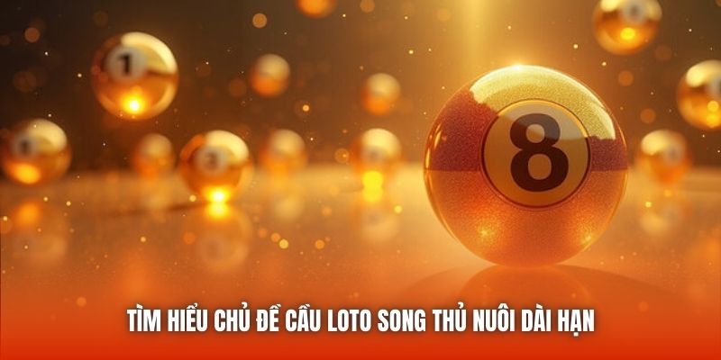 Tìm hiểu chủ đề cầu loto song thủ nuôi dài hạn