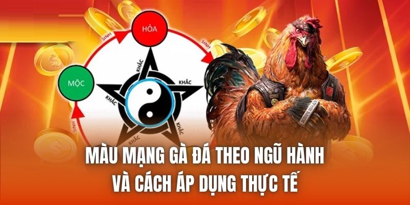 Màu Mạng Gà Đá Theo Ngũ Hành Và Cách Áp Dụng Thực Tế