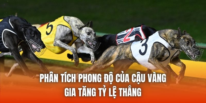Phân tích phong độ của cậu vàng gia tăng tỷ lệ thắng